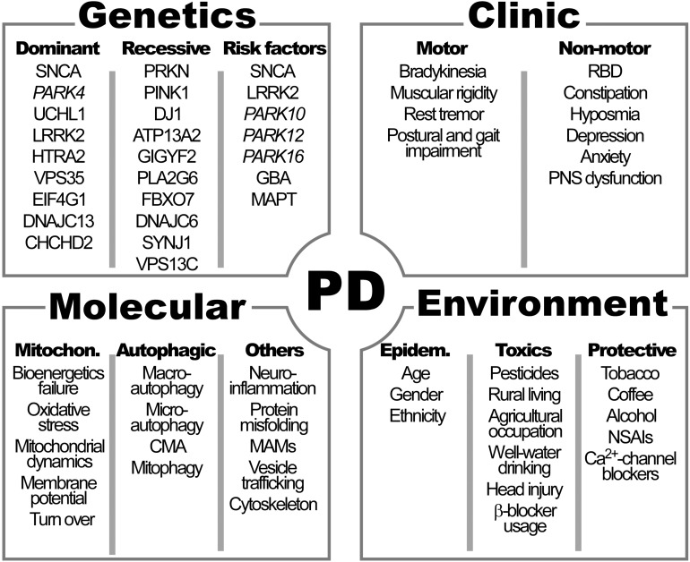 FIGURE 1