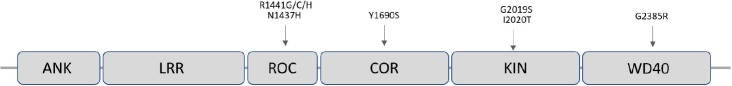 FIGURE 3