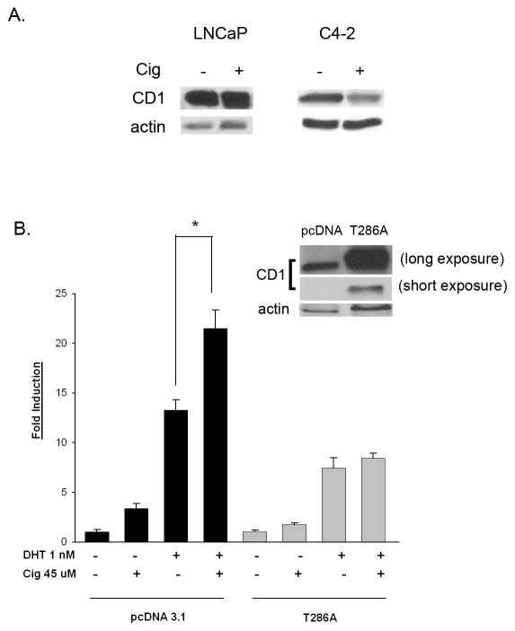 Fig 7