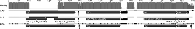 Fig. 4.