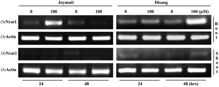 Fig 6