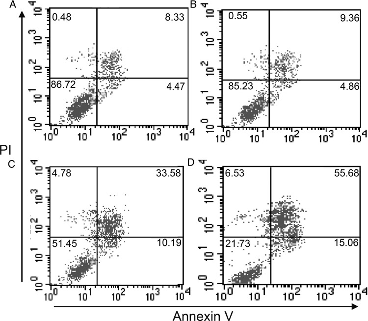 Fig. 6.