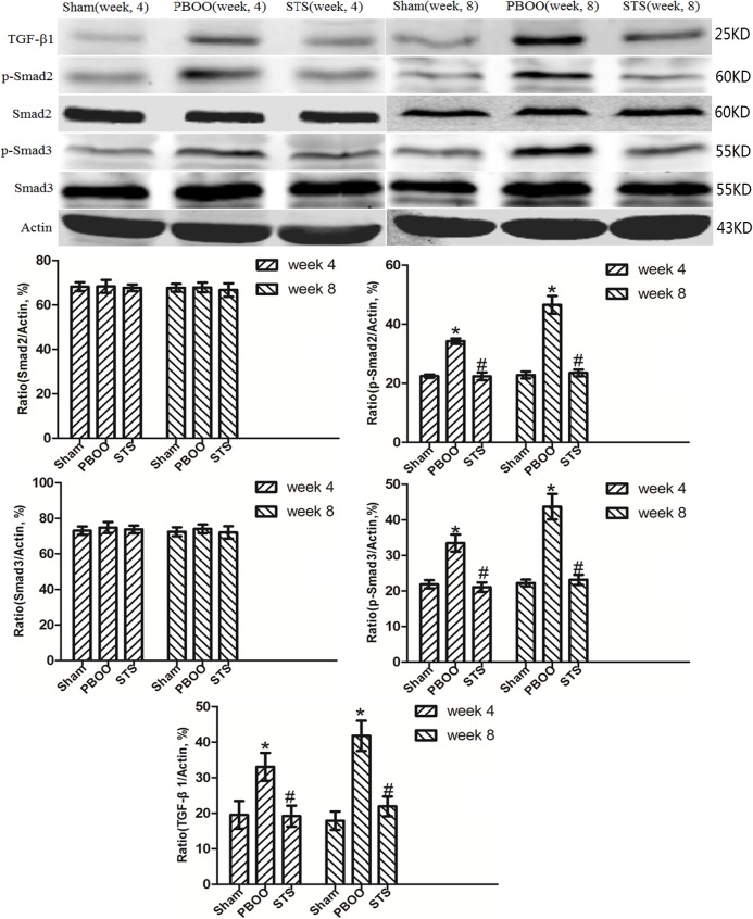 Fig 9