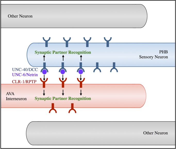 Fig 6