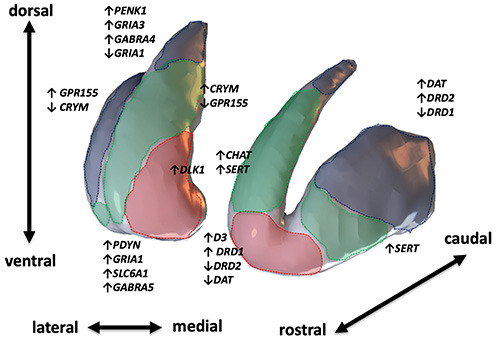 Figure 2.