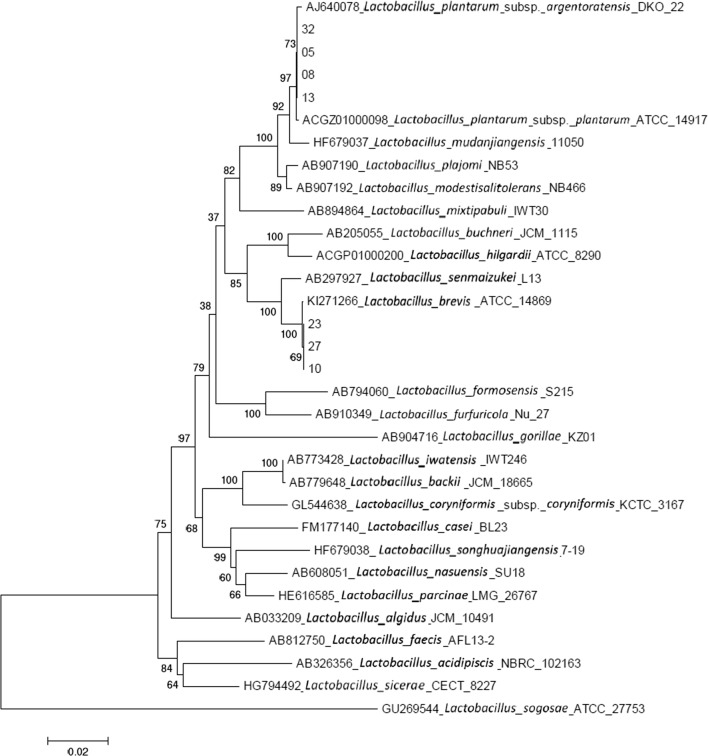 Fig. 3