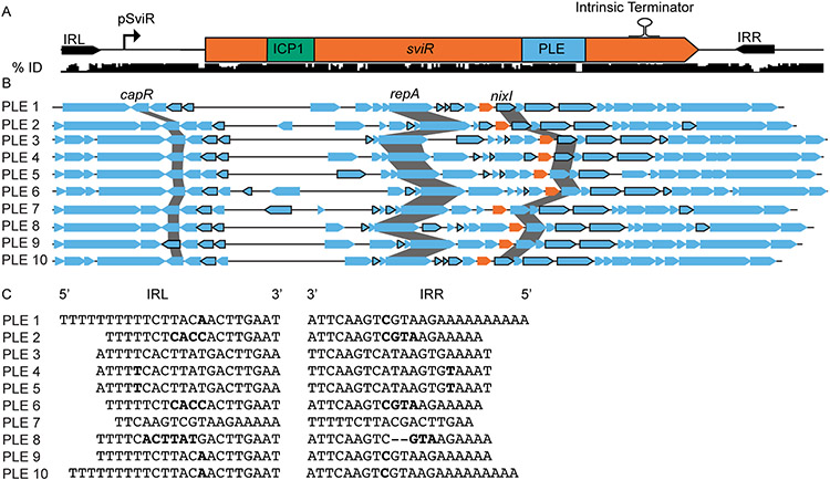 Figure 6)