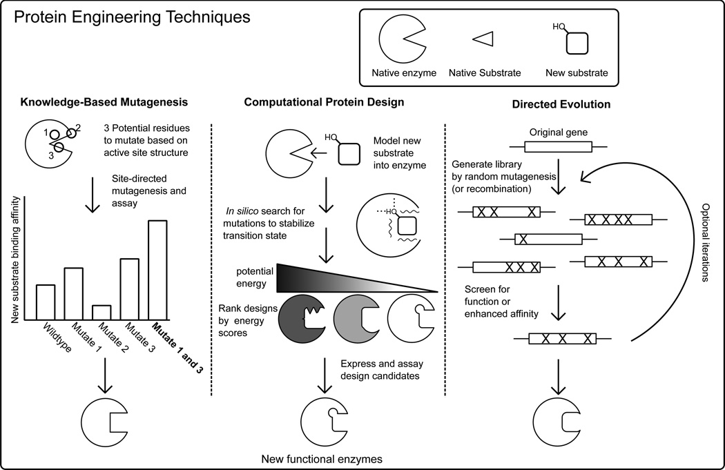 Fig. (1)