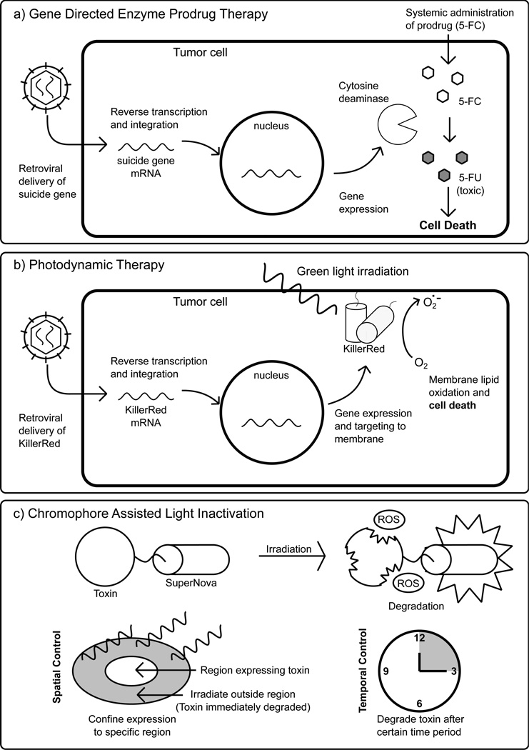 Fig. (4)