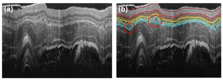 Fig. 3