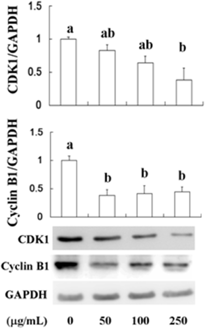 Fig. 5