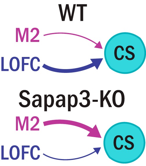 Figure 7.