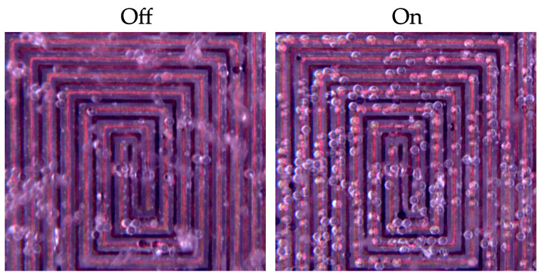 Figure 17