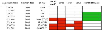 FIG 5 