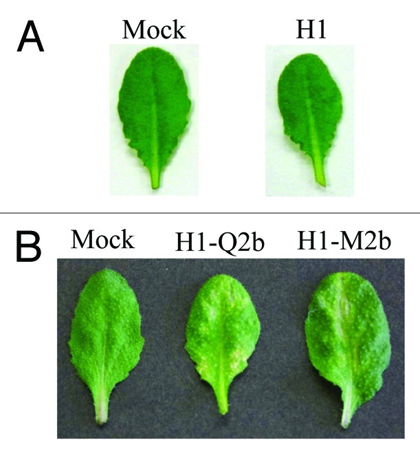 Figure 1.