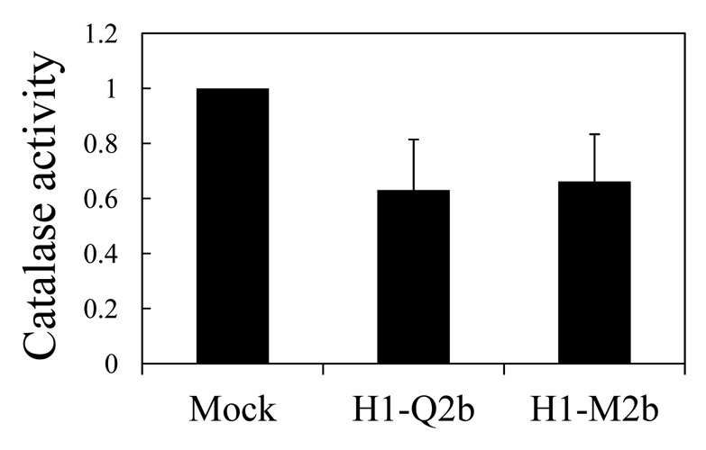 Figure 3.