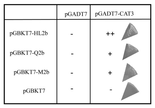 Figure 2.