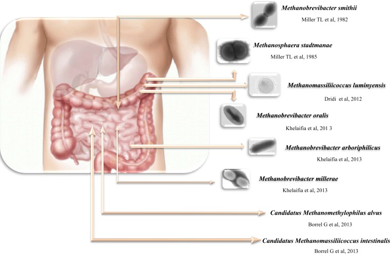 FIG 2