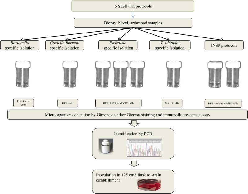 FIG 4