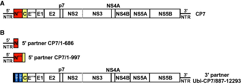 Fig. 1.—