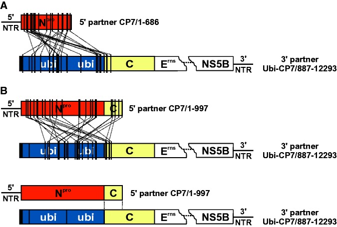 Fig. 2.—