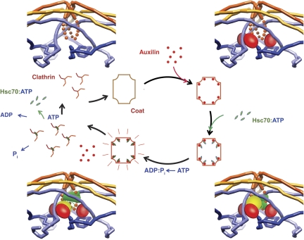 Figure 7