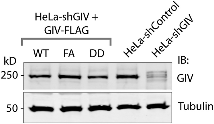 Fig. S4.