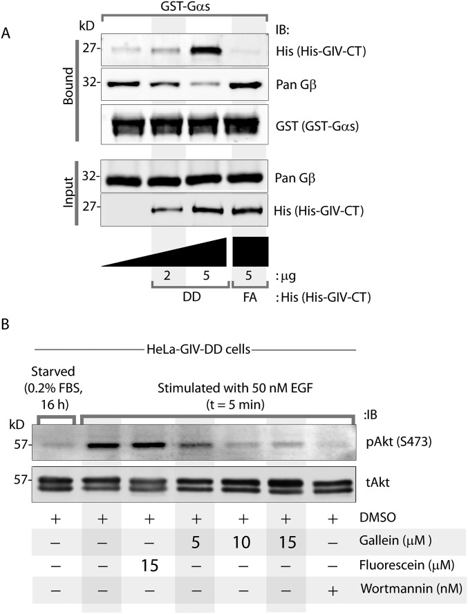 Fig. S6.