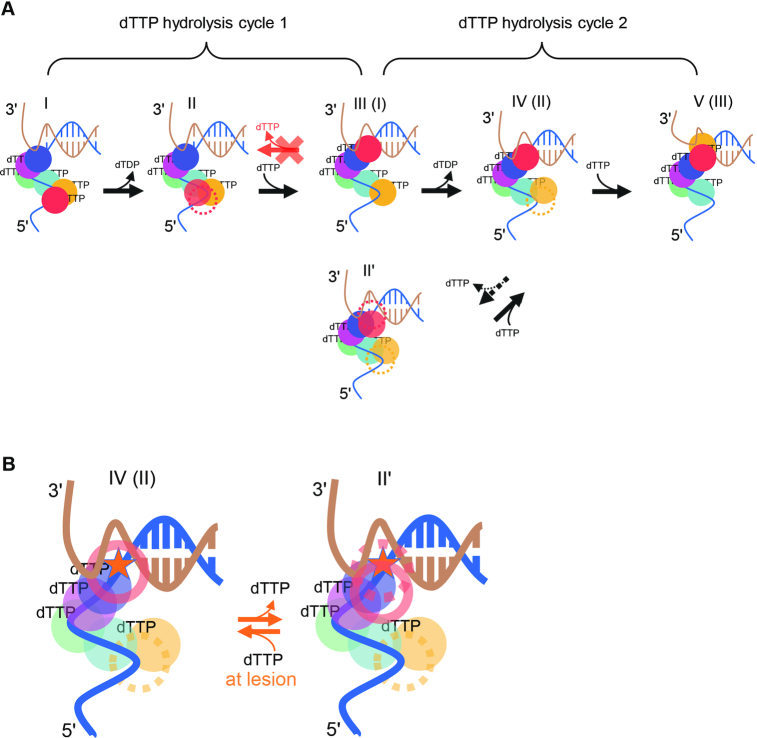 Figure 6.