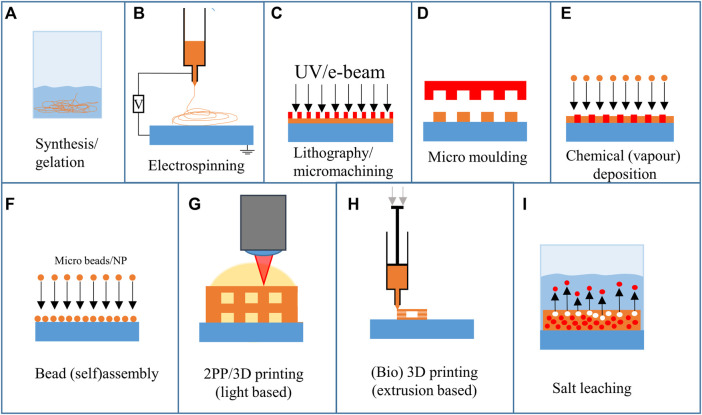 FIGURE 3