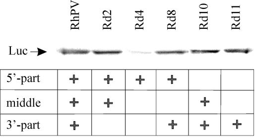 FIG. 6.