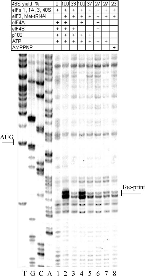 FIG. 1.