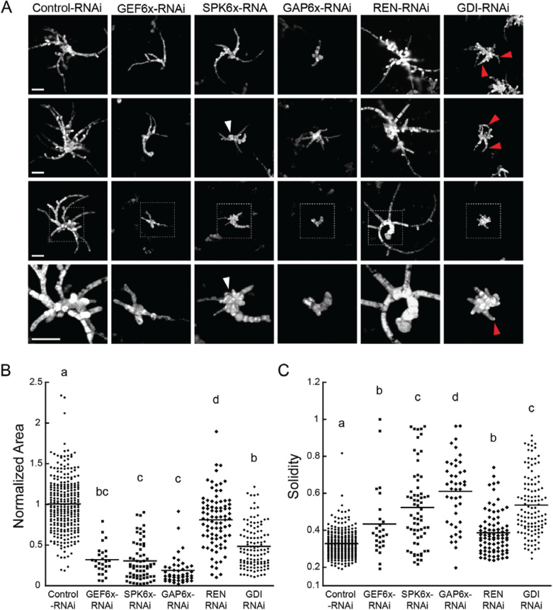 Fig. 2.