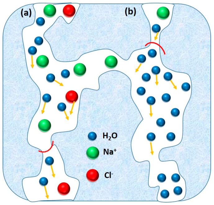 Figure 24