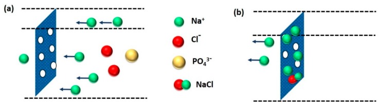 Figure 21