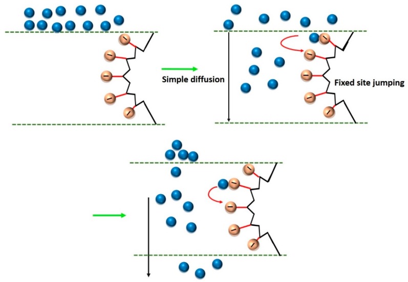 Figure 19