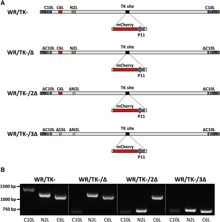 Figure 1