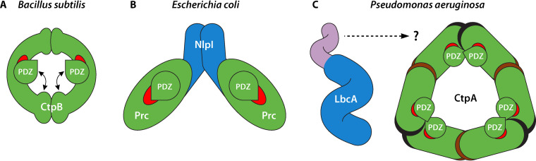 FIG 2