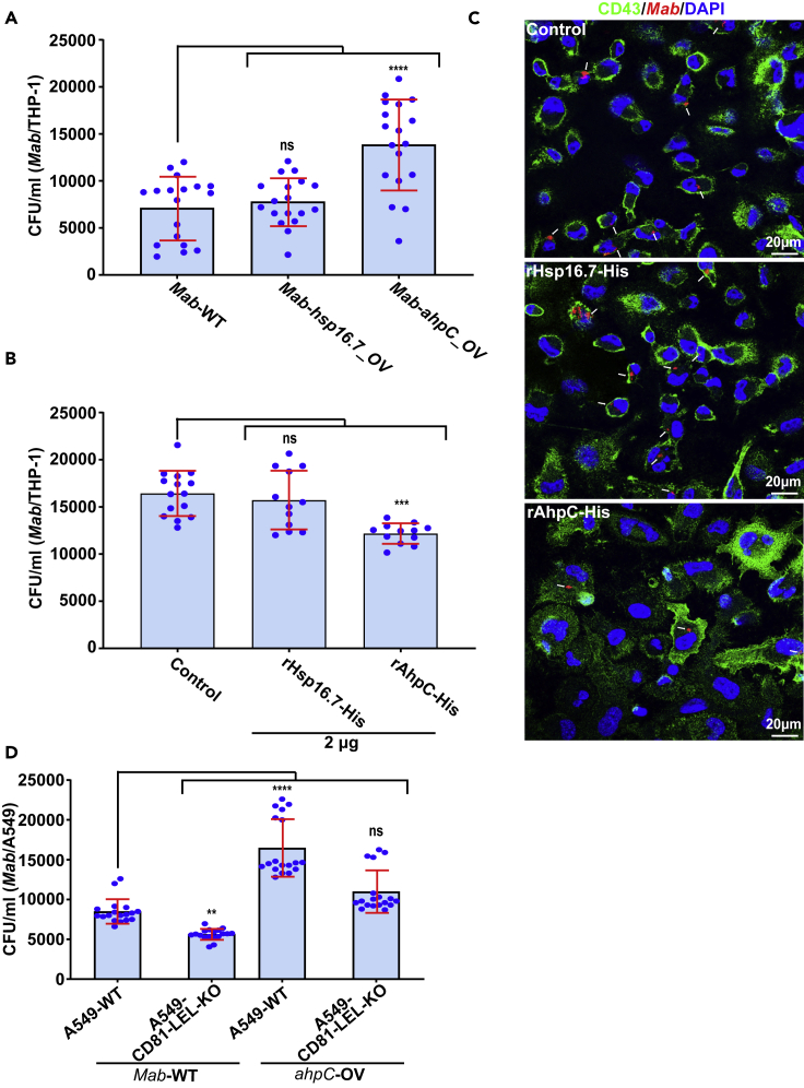 Figure 6