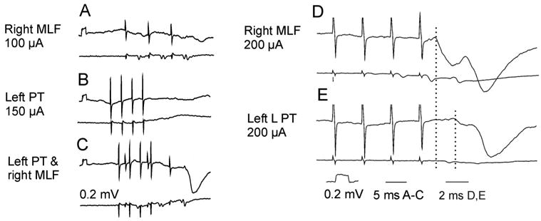 Fig. 9