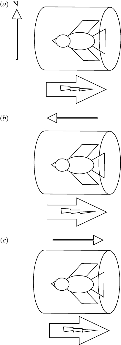 Figure 1.