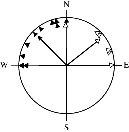 Figure 3.