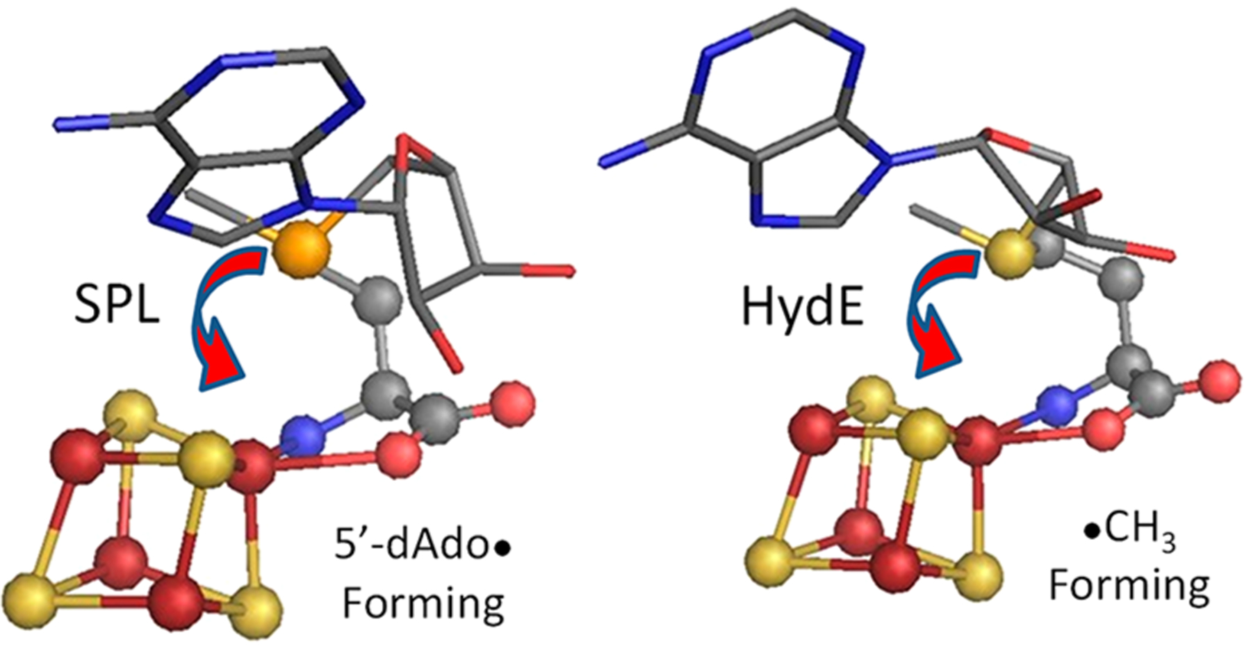 Figure 10.