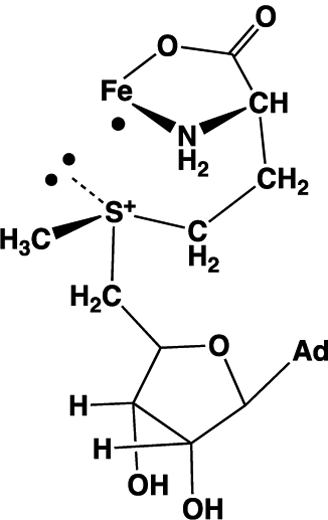 Scheme 1.