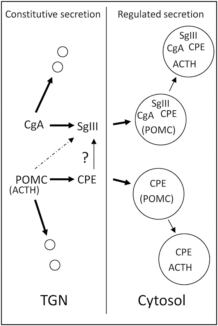 Figure 9.