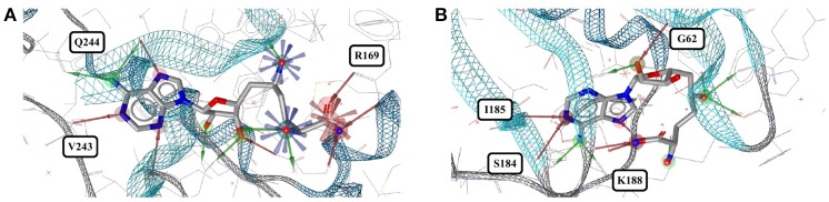 Figure 10