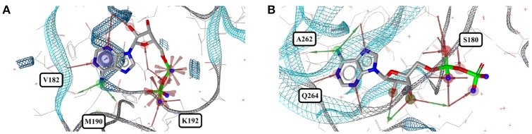 Figure 13