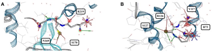 Figure 11