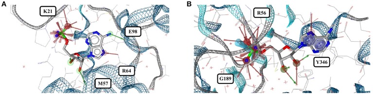 Figure 12