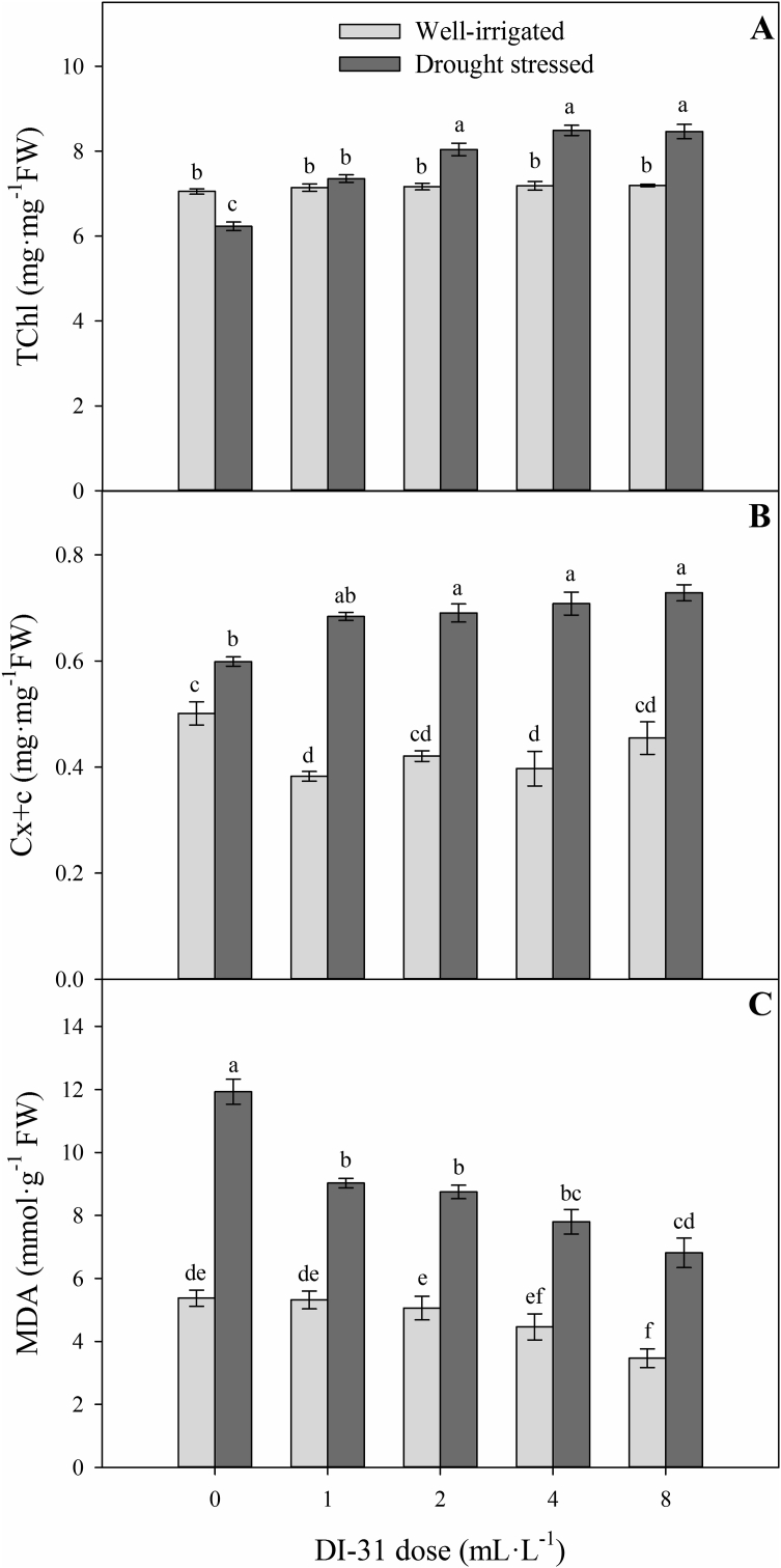 Figure 5